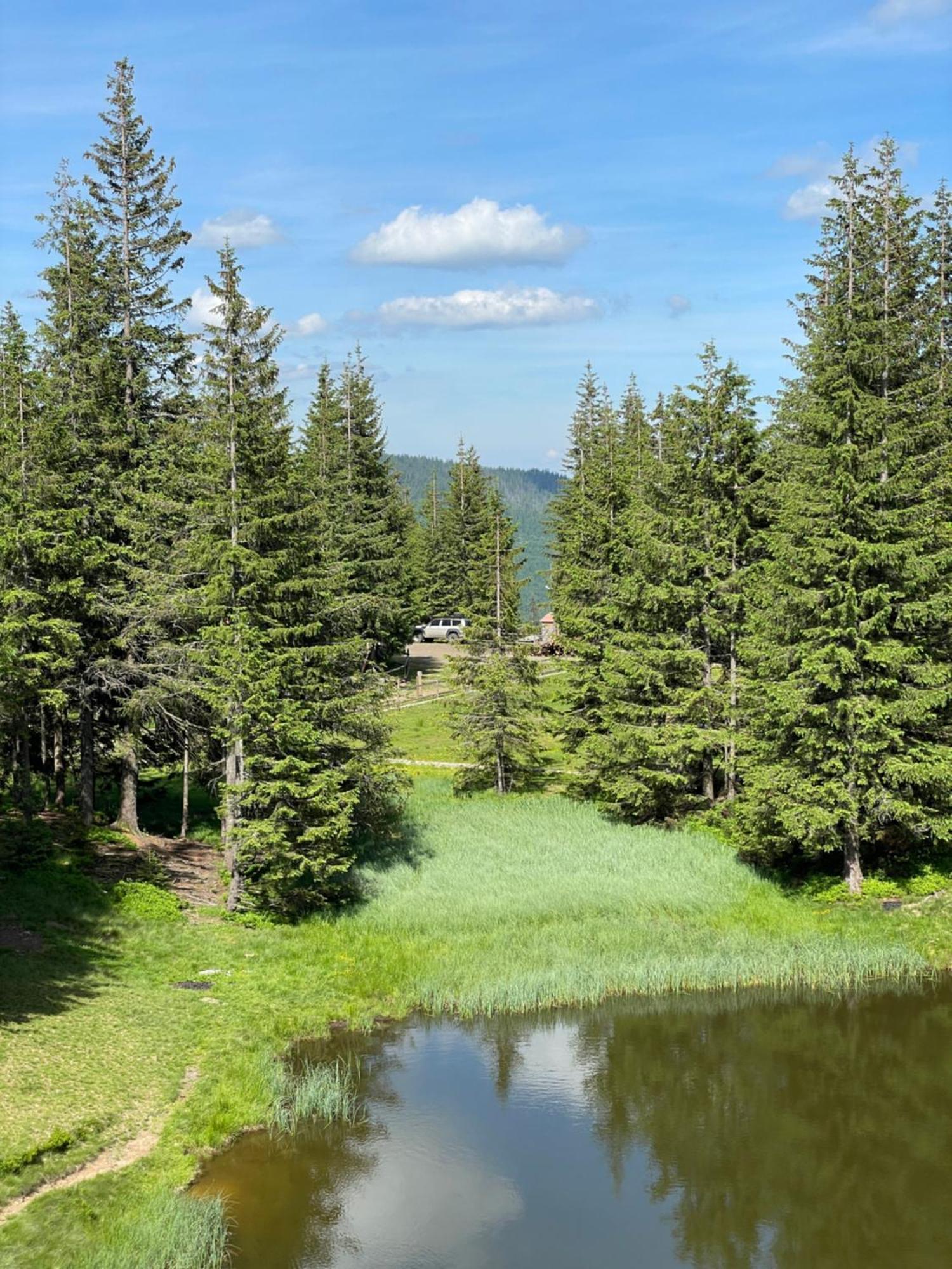 Оаза Hotel Dragobrat Bagian luar foto