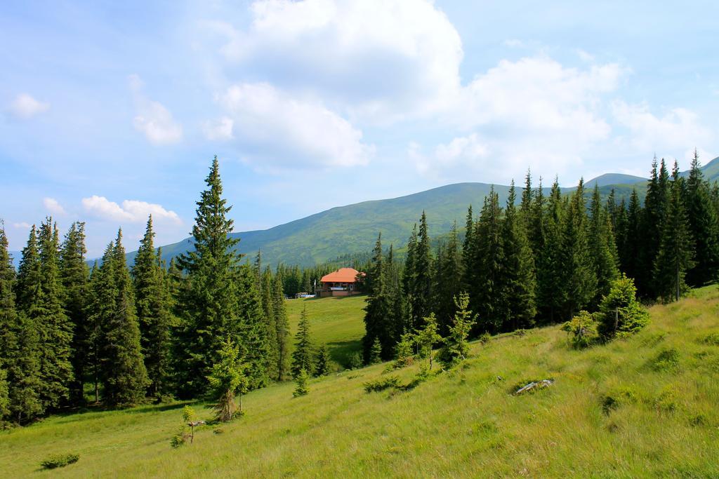 Оаза Hotel Dragobrat Bagian luar foto