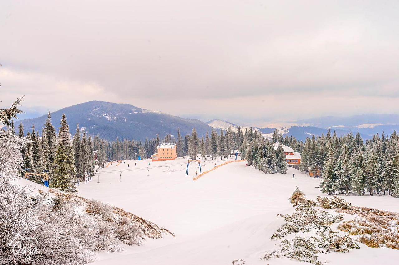 Оаза Hotel Dragobrat Bagian luar foto